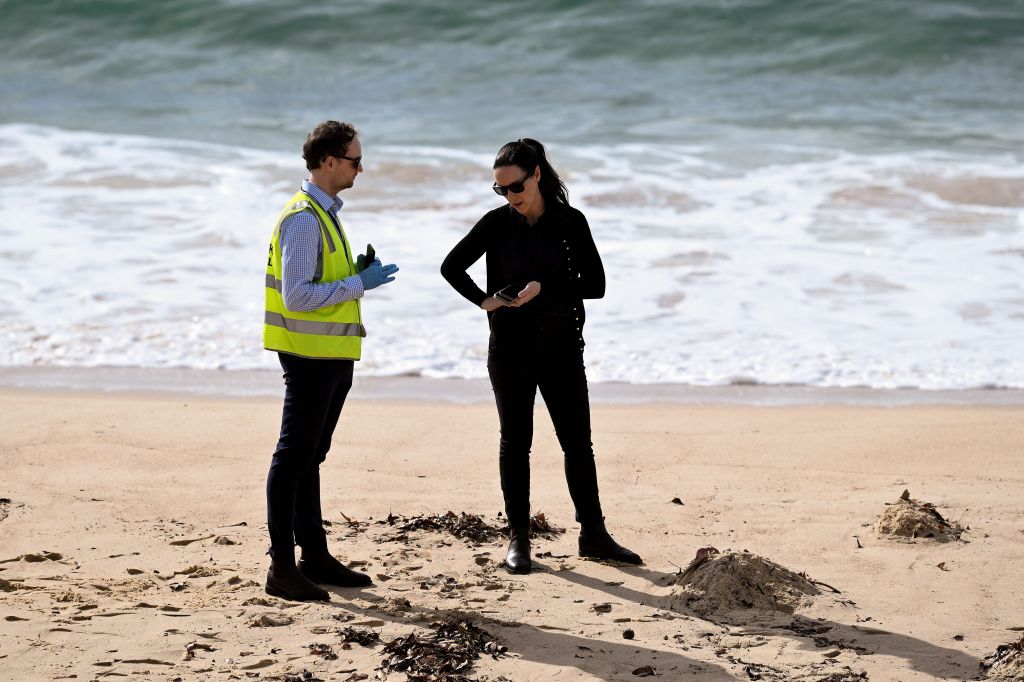 Randwick City Council says preliminary test results from samples collected on Tuesday afternoon showed the balls were a hydrocarbon-based pollutant “consistent with the makeup of tar balls”, as had been suspected.