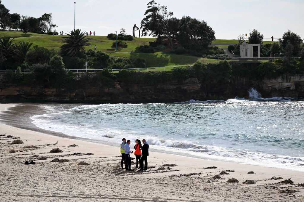 A ship or small run-off was likely the cause of the oil or tar entering the water, and there would need to be “a lot more evidence” to suggest any sort of large scale oil spill, Chlebeck said.