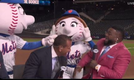 Mr. Mets wasn't having it after watching David Ortiz put the moves on Mrs. Met.