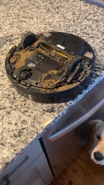 The poopy Roomba.