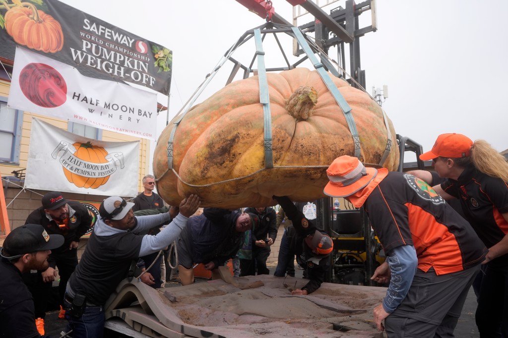 Gienger's pumpkin is weighed before the winner was announced.