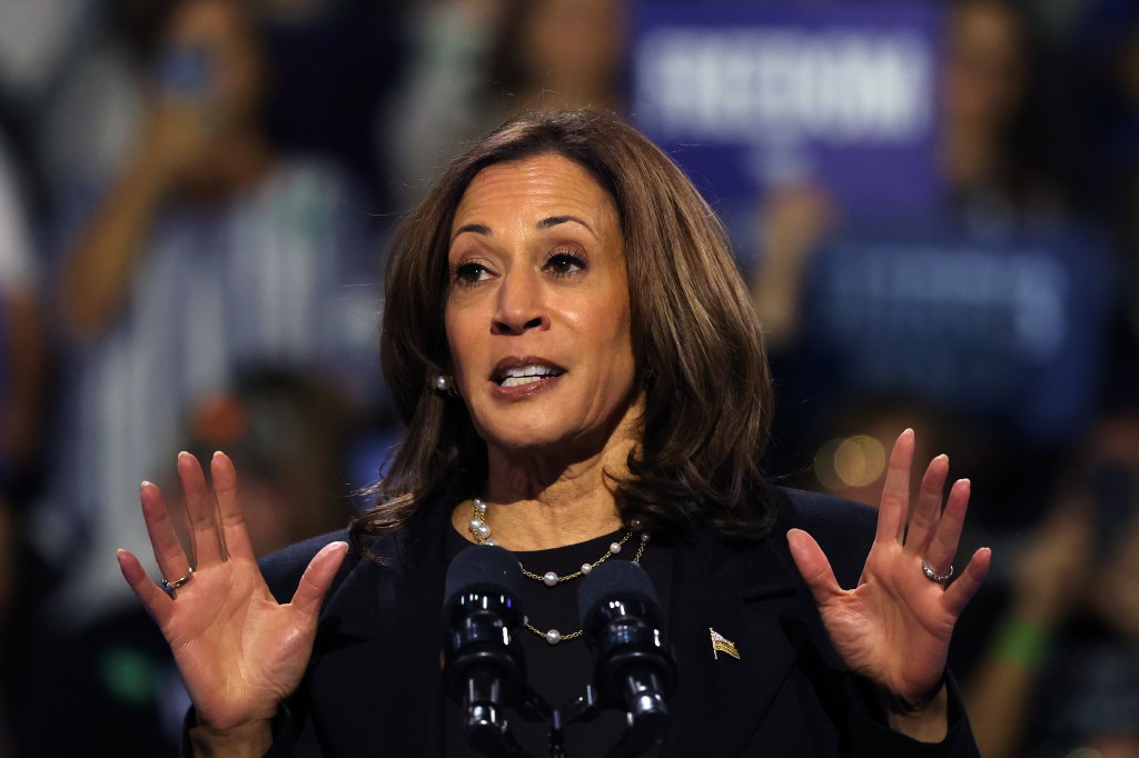 Kamala Harris speaking during campaign rally at Erie Insurance Arena on Oct. 14, 2024.