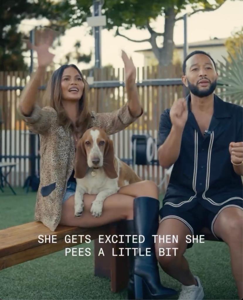 John Legend and Chrissy Teigen appeared in a social media post for DOG PPL Canine Social Club.