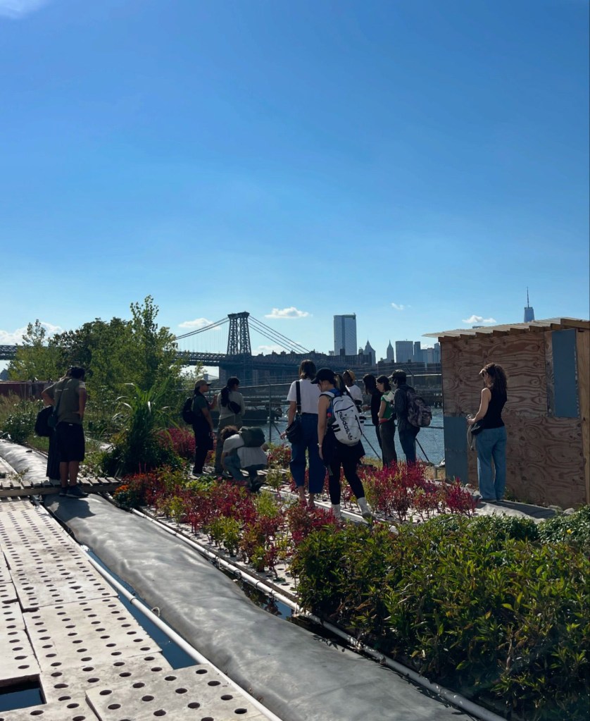 The urban farm has been on Two Trees Management's vacant lot near the East River since 2021.