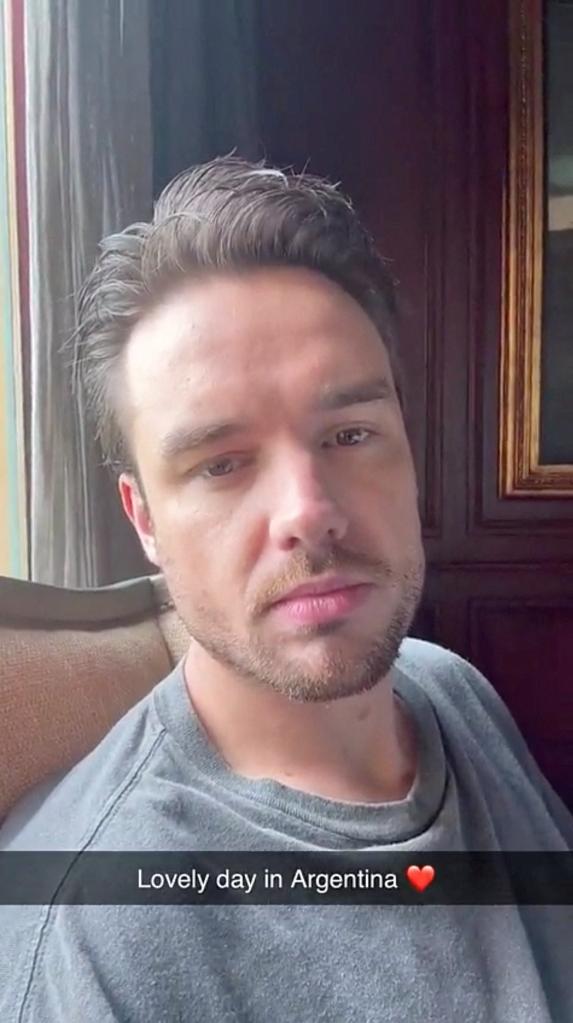 Liam Payne in a selfie video. 