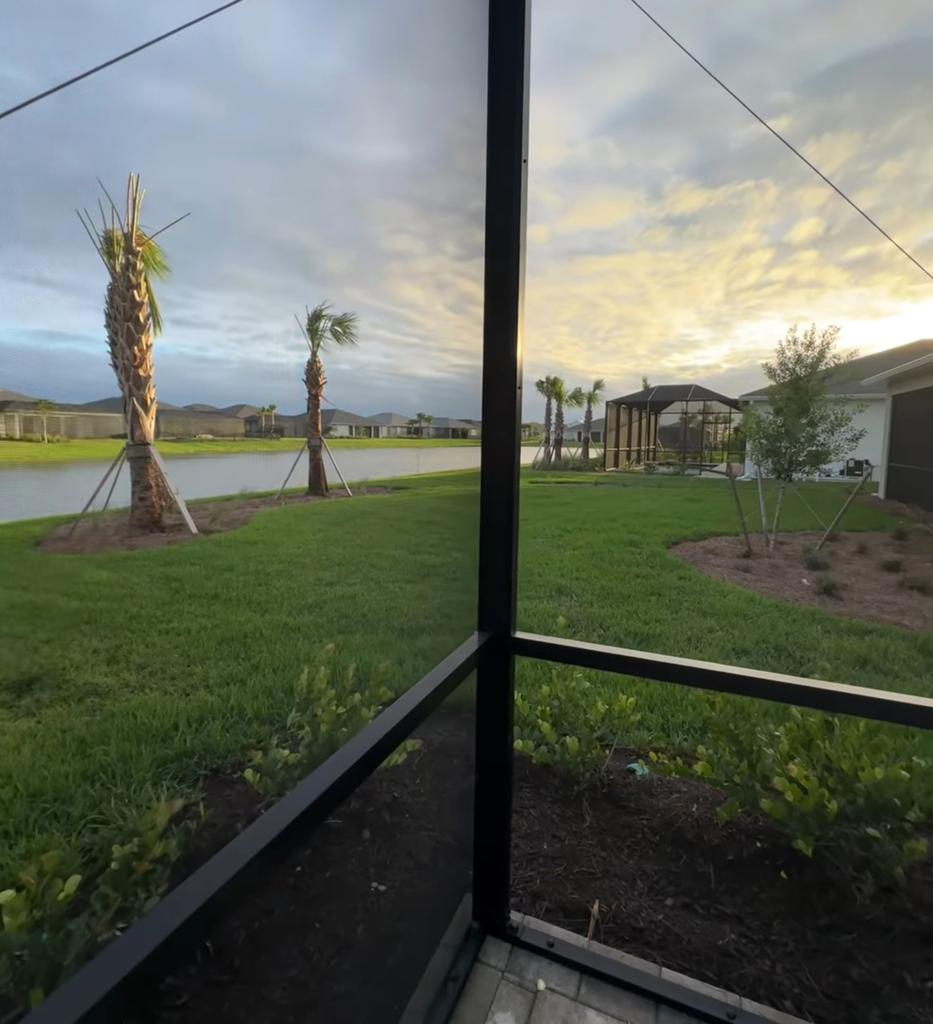 View looking out from someone's screened in porch showing palm trees stripped bare.