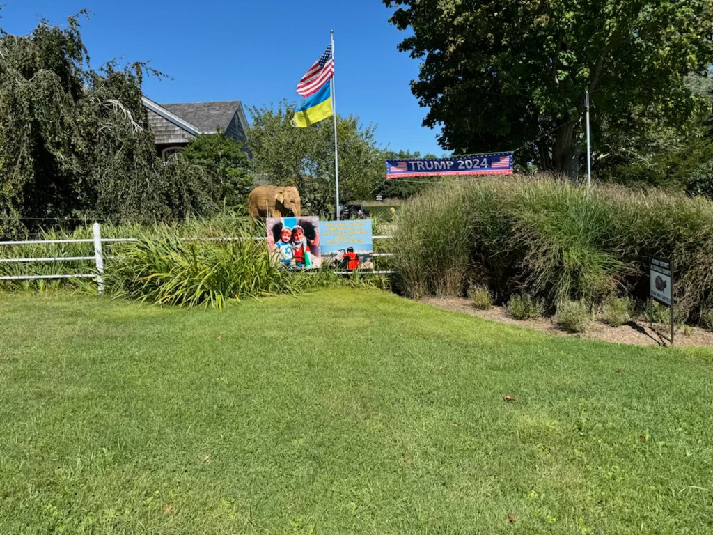 Trump signs on Andy Sabin of Amagansett's lawn