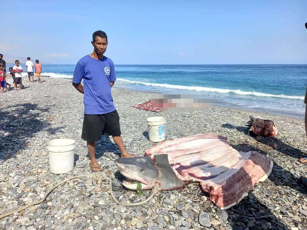 A local fisherman found Monfore's remains in a shark.