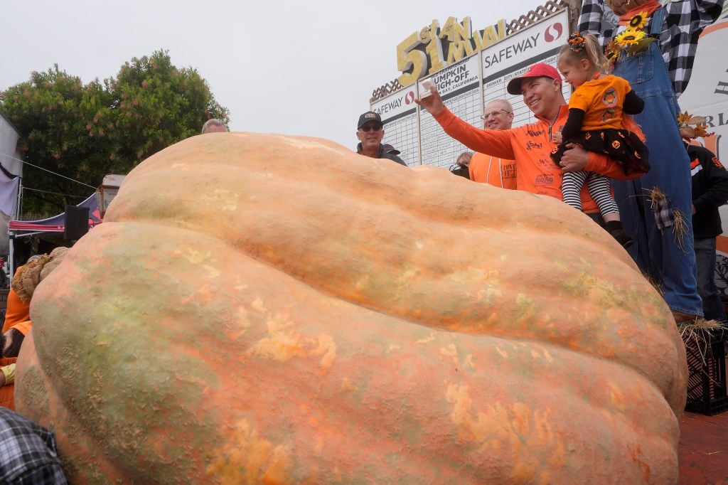 The gigantic gourd dwarfed the competition.