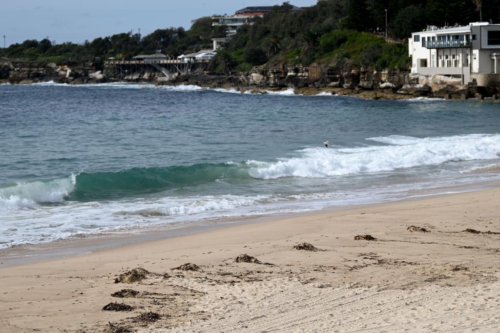 Randwick Council Mayor Dylan Parker said council lifeguards had spotted the balls washing by Wedding Cake Island, just off the coastline.