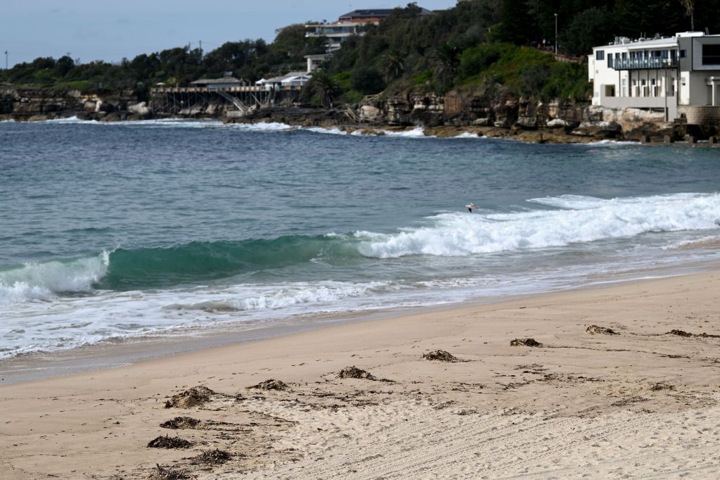 Randwick Council Mayor Dylan Parker said council lifeguards had spotted the balls washing by Wedding Cake Island, just off the coastline.
