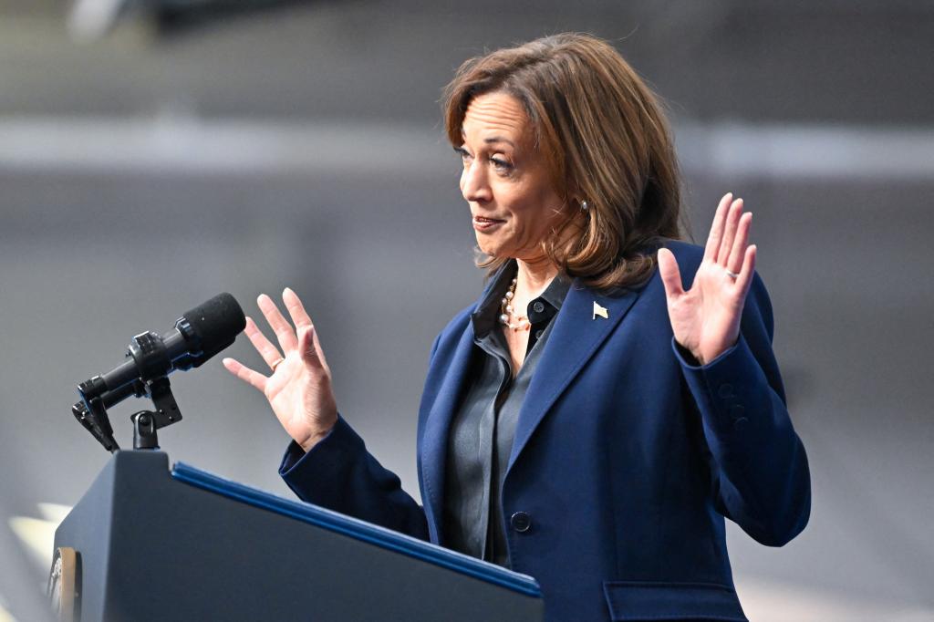 US Vice President and Democratic presidential nominee Kamala Harris speaking at a podium during a campaign event at University Wisconsin-La Crosse, October 17, 2024.