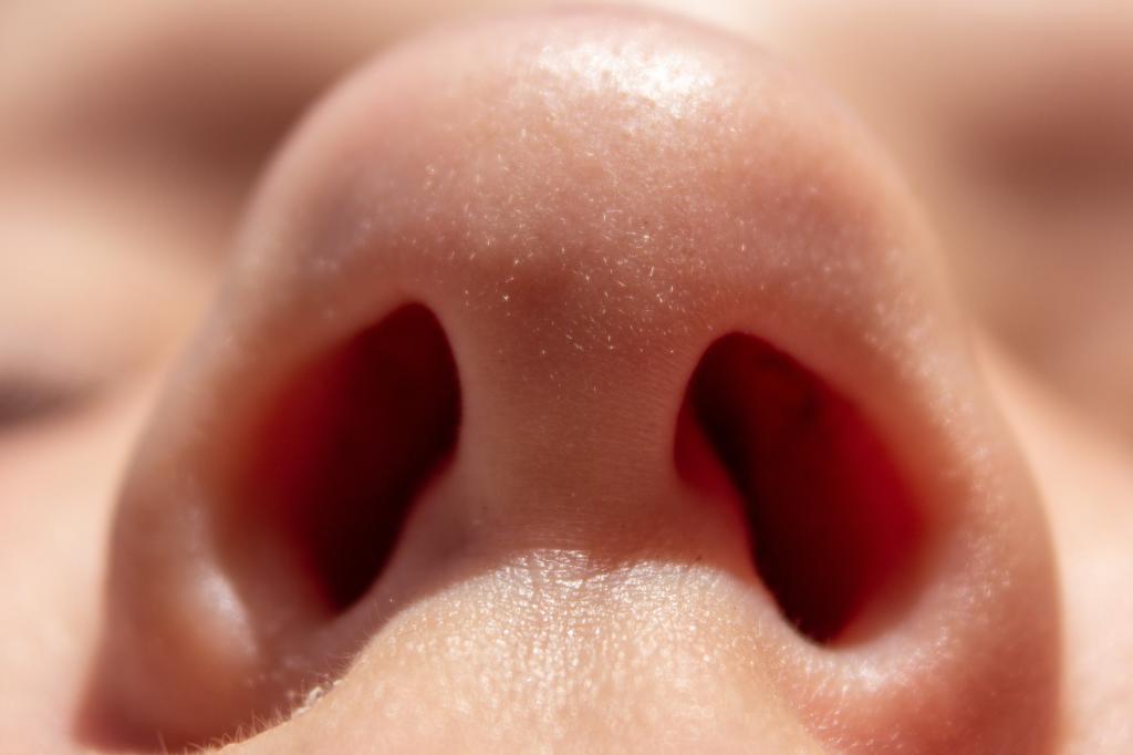 Close-up view of a woman's nose