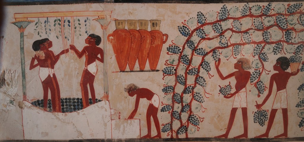 Ancient Egyptian mural depicting the process of harvesting grapes and winemaking from the Tomb of Nakht, circa 1380 BC