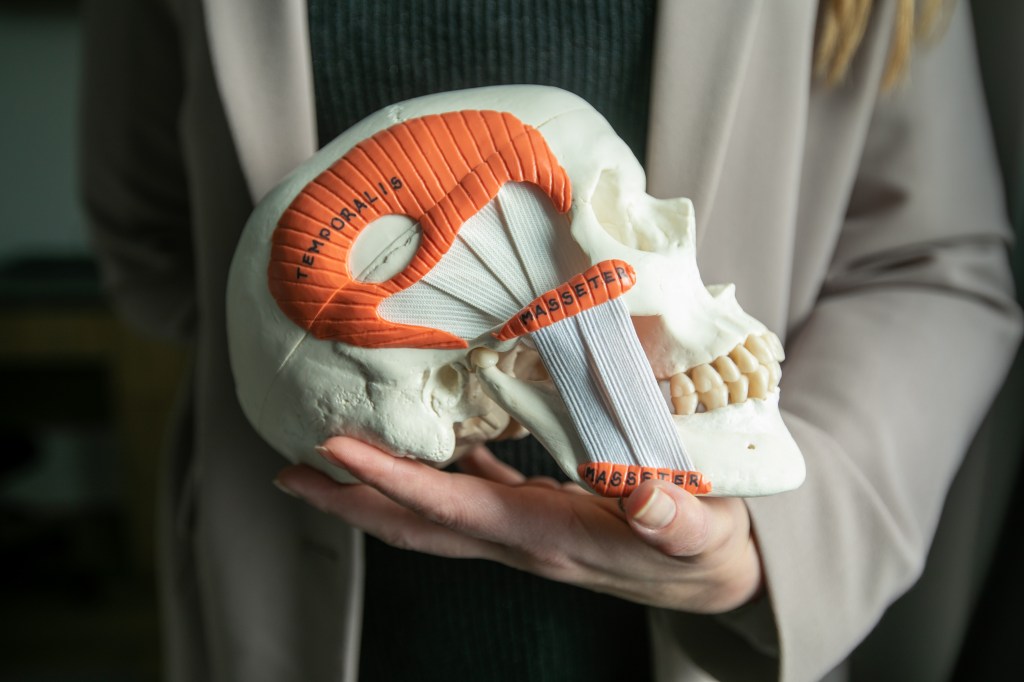 Obesity, high blood pressure, and smoking are among the known risk factors for dementia. Researchers say they have more evidence of another one, which is tied to the jaw. Here, a woman holds a skull model.