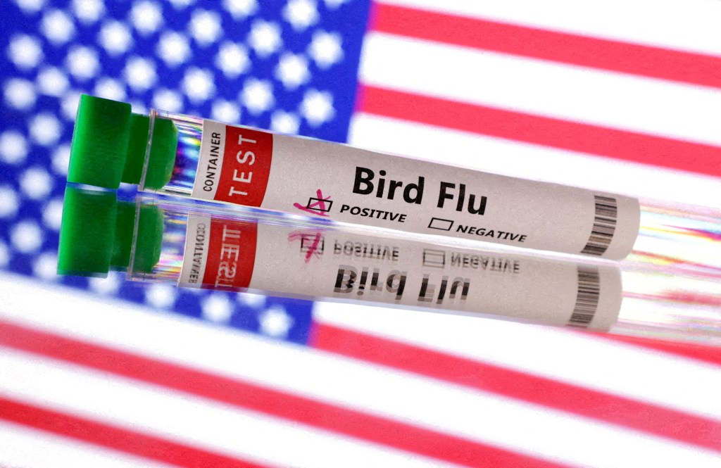 Test tube labelled 'Bird Flu' in front of a U.S. flag