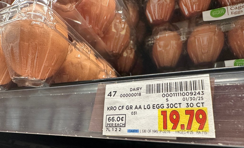 Close-up view of eggs in plastic containers for sale in a supermarket in Monterey Park, California, with high prices due to a resurgence of avian flu.