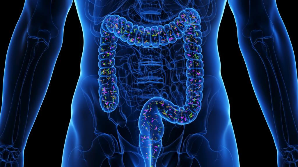 3D rendered medical illustration showing the micro biome of the colon, related to colorectal cancer