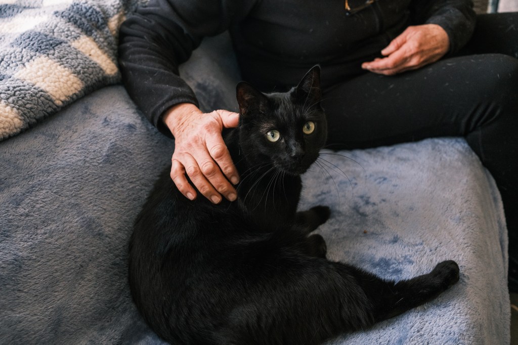 Volunteer Susan Denis practicing Jin Shin Jyutsu, an art of healing, on a rescue cat at the Southampton Animal Shelter Foundation