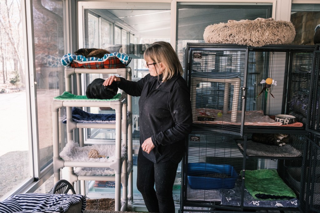 Susan Denis practicing the art of healing, Jin Shin Jyutsu, on a rescue cat at Southampton Animal Shelter Foundation.