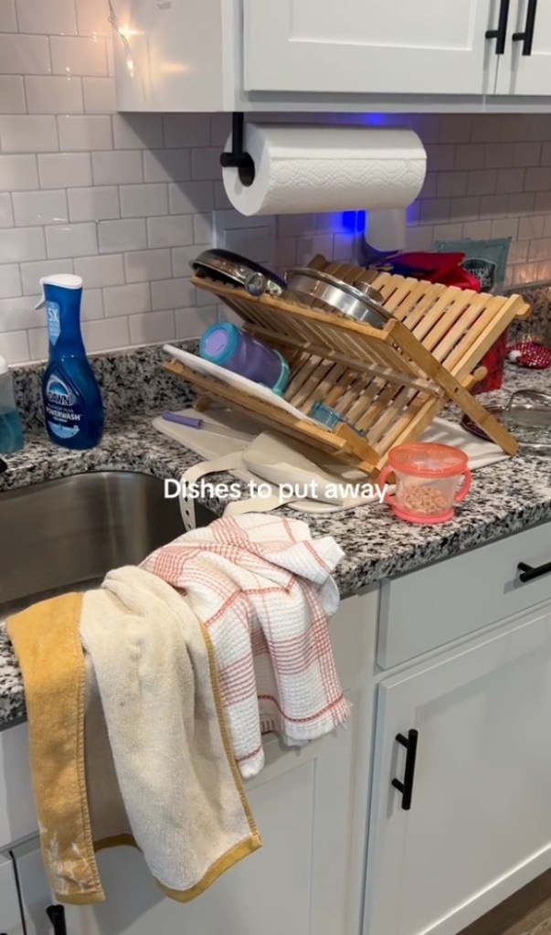 A "normal house" video showing a sink full of dishes.