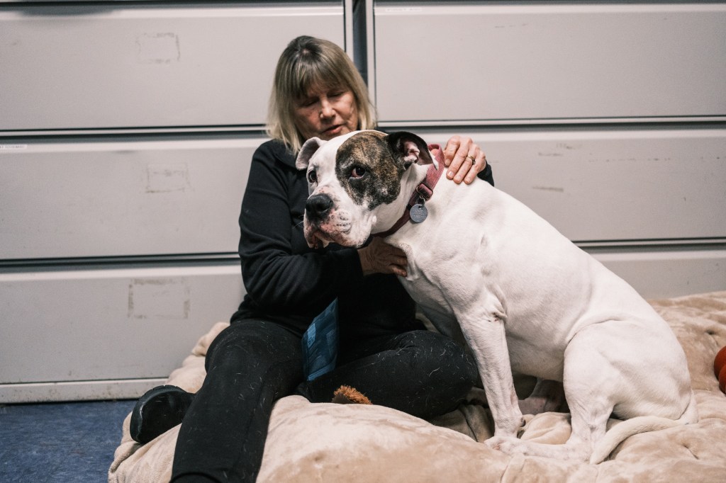 Susan Denis practicing Jin Shin Jyutsu, an art of healing, on a dog at Southampton Animal Shelter Foundation