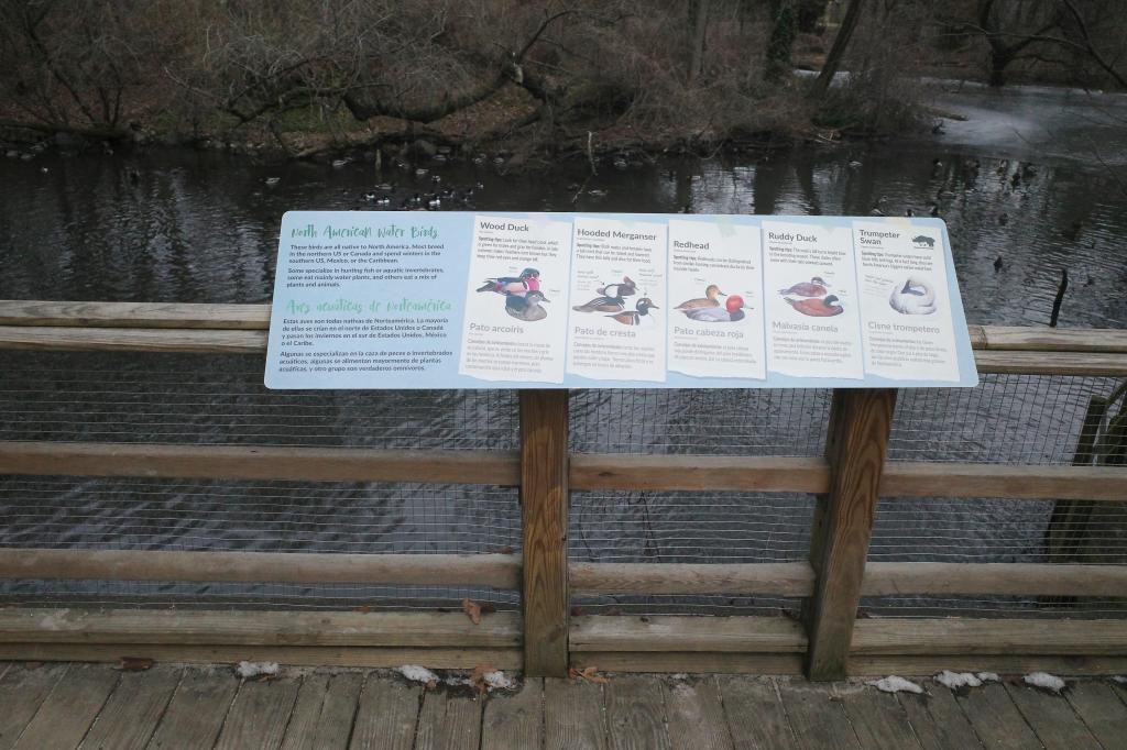 Two ducks at Queen's Zoo affected by bird flu, parks remain open with low risk to humans