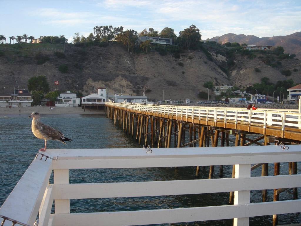 Villas and homes along the coast in Malibu and Pacific Palisades near Pacific Coast Highway prior to the devastating fires