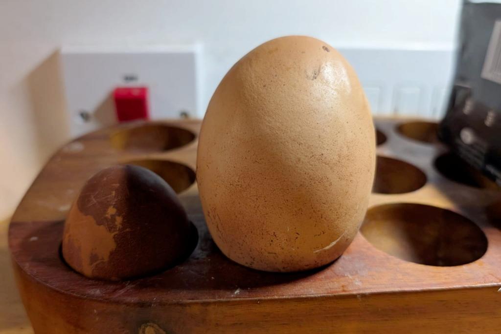 A chicken in England laid an egg more than three times the standard size.