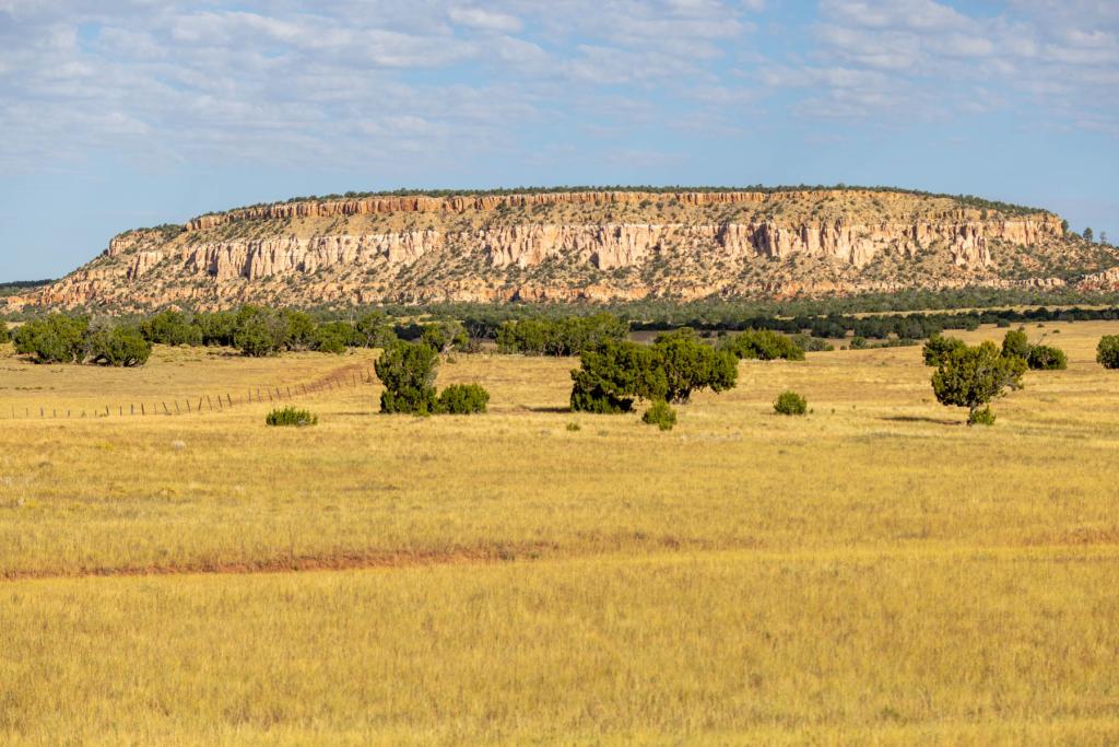 A sprawling 110,000-acre ranch in New Mexico, larger than the city of Denver, has been listed for sale at $68.5 million, marking its first availability in over 45 years.