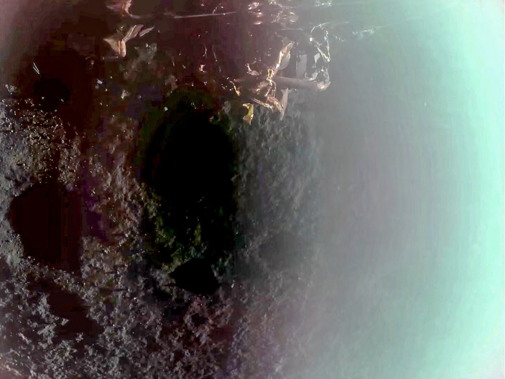 Firefly Aerospace's Blue Ghost lander landed on the Moon's northeastern side on March 2, 2025.