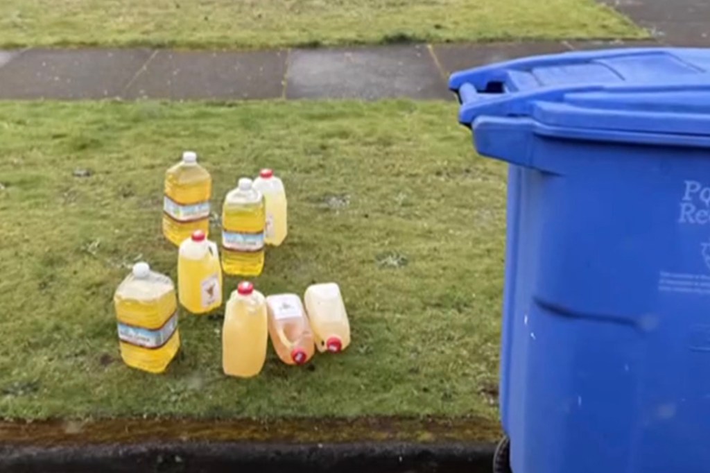 Some of the many jugs of pee left in Alex Van Duyn's recycling bin. He has no idea who is doing it or why