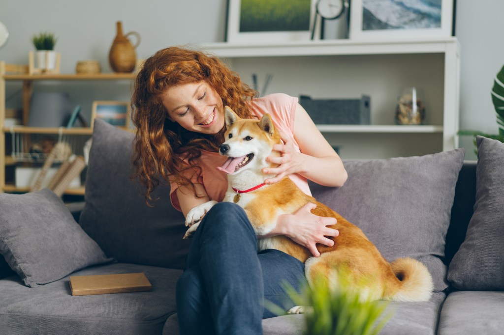 A cheerful young lady petting a shiba inu puppy while sitting on a couch, both smiling