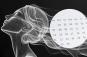 Psychic reveals how the days of the week can help you interpret your dreams