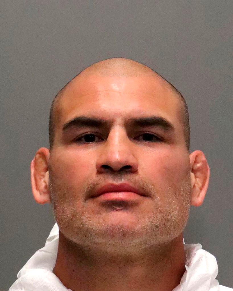 Former UFC heavyweight champion Cain Velasquez, the former UFC heavyweight champion, was arrested in 2022 for trying to kill the man he claims molested his 4-year-old son.
