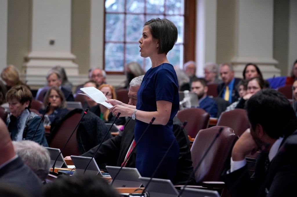 Laurel Libby speaking at State House