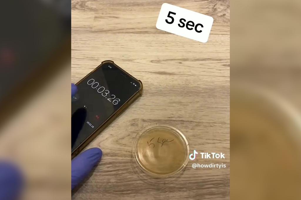 The five-second dish.