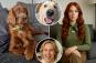People are utilizing ChatGPT to turn their dogs into humans