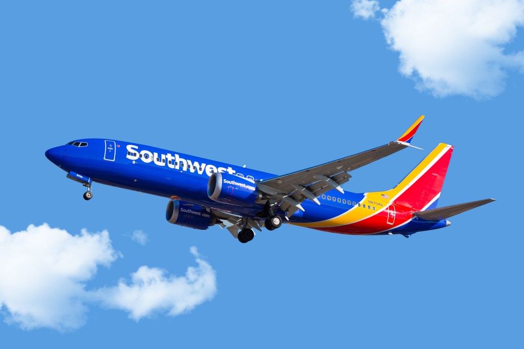 A woman on a Southwest flight from Philadelphia to Chicago stripped naked and took a dump on a plane seat, according to a report.