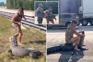 Barefoot ‘Blue Collar Brawler’ filmed casually wrestling huge gator: ‘Only in Florida’