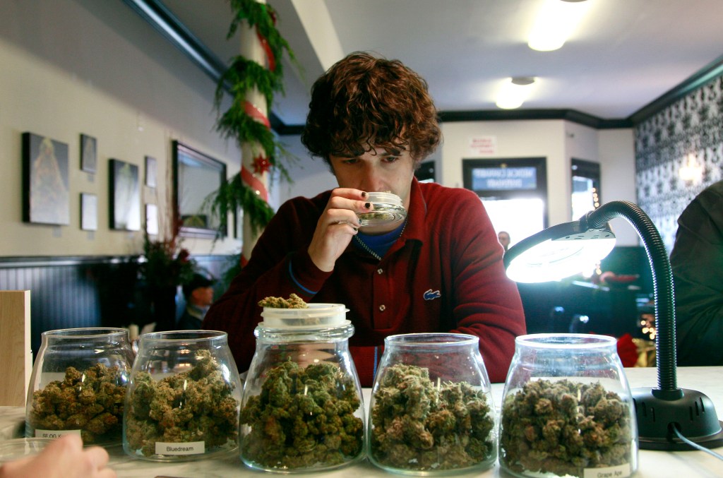 A young man smells marijuana available at a dispensary.