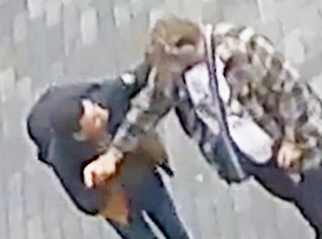 Anis Bardich caught on CCTV using dance moves to distract victims and pickpocket their wallets and mobile phones.