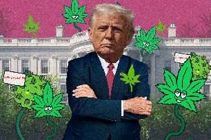 President Trump