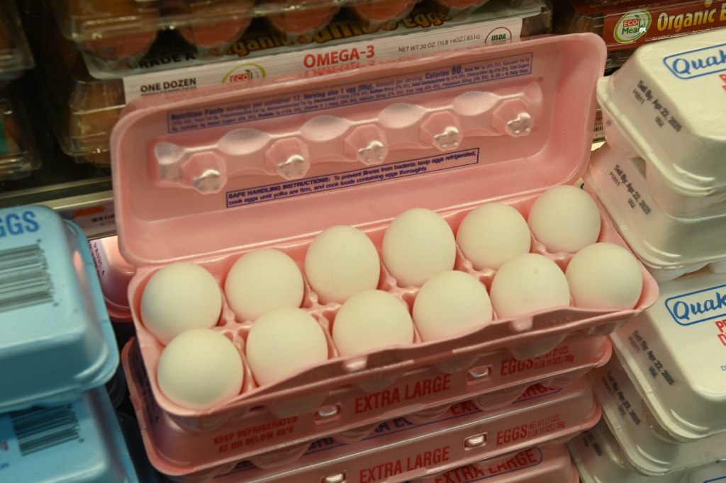 eggs in a carton