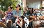 This is how to have a perfect day, study reveals