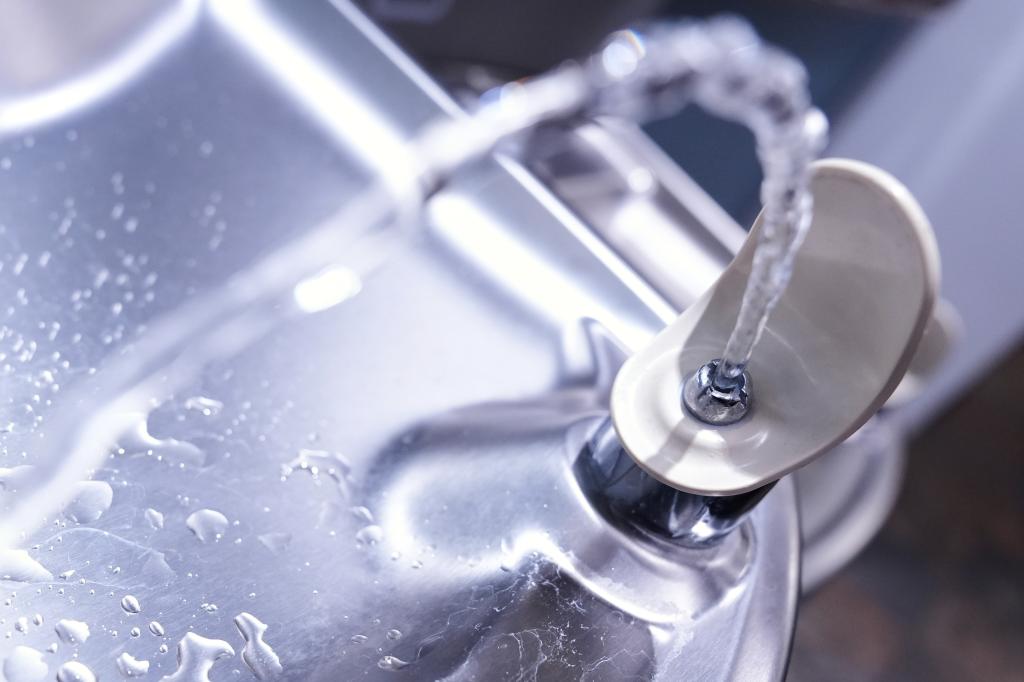 Close-up view of a public water fountain in Grosse Pointe Park, Michigan, related to Utah Fluoride Ban