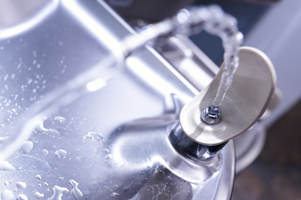 Close-up view of a public water fountain in Grosse Pointe Park, Michigan, related to Utah Fluoride Ban