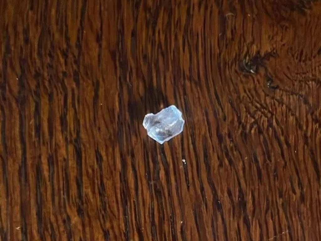 The alleged piece of glass.