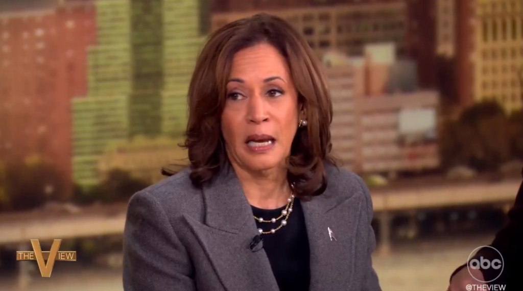 Harris's ex-campaign advisor was shocked and released a new book this month entitled "FIGHT: Inside the Wildest Battle for the White House."