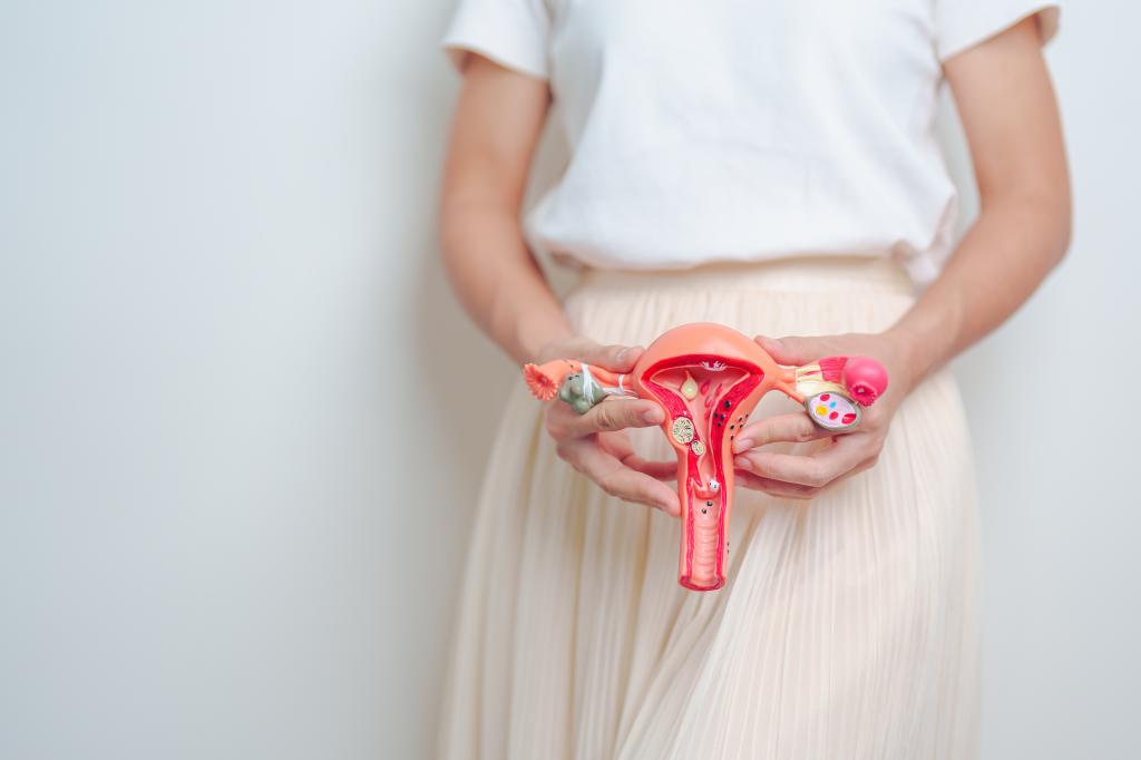 A woman holds up a model of her uterus and ovaries. 